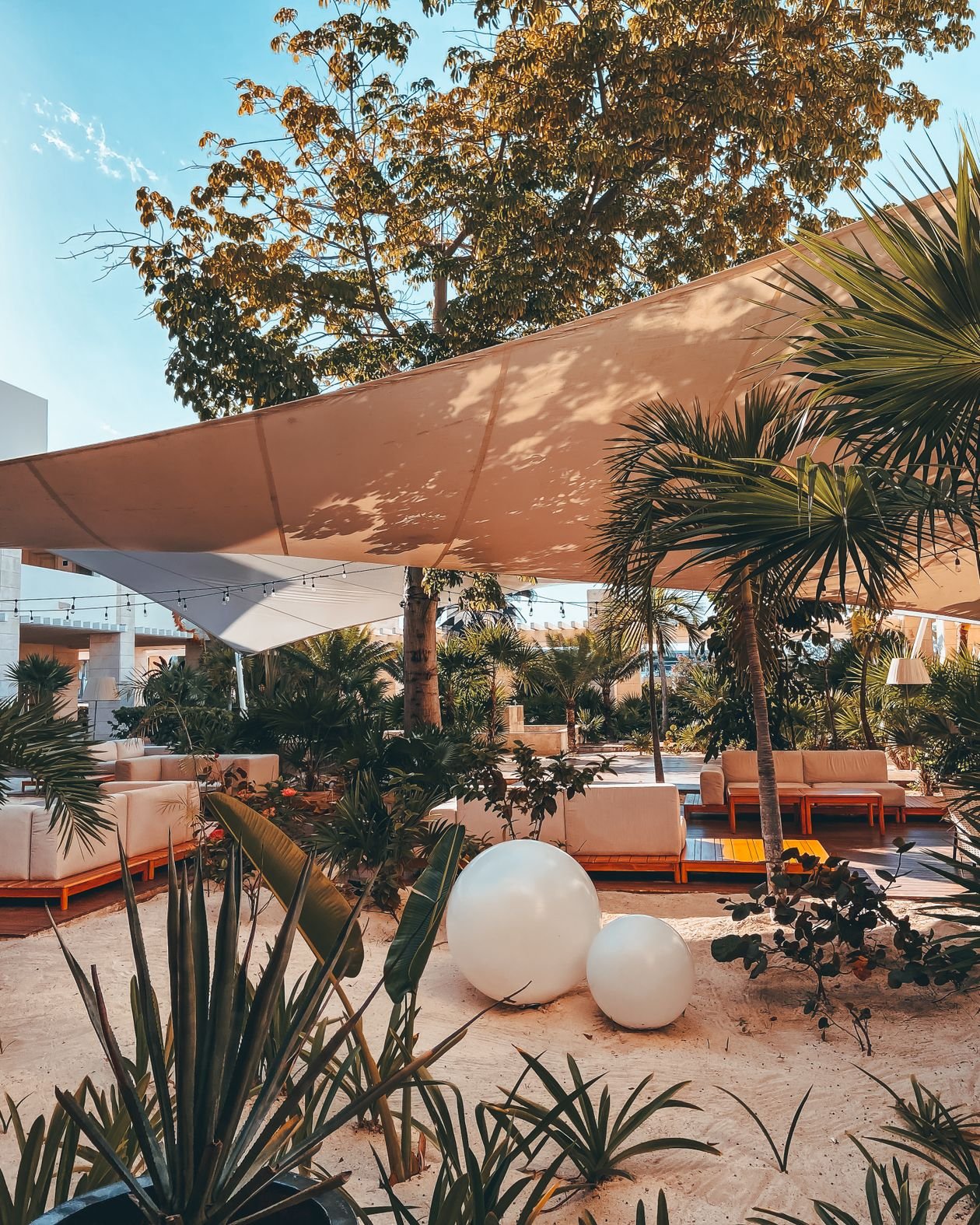 مظلة شراعية 2